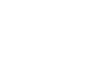 The Ave Customs