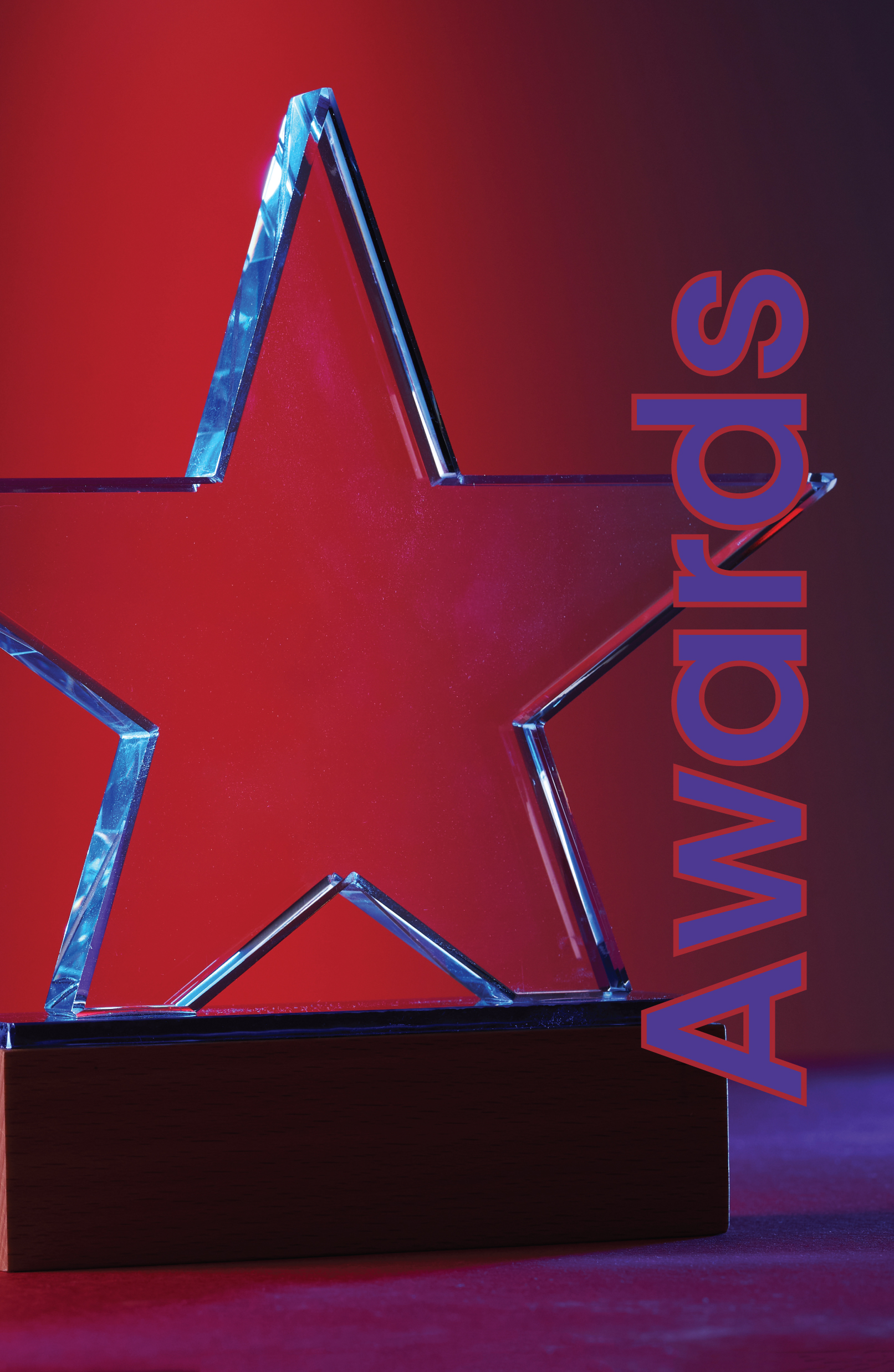 SAGE Catalog Studio Custom Page