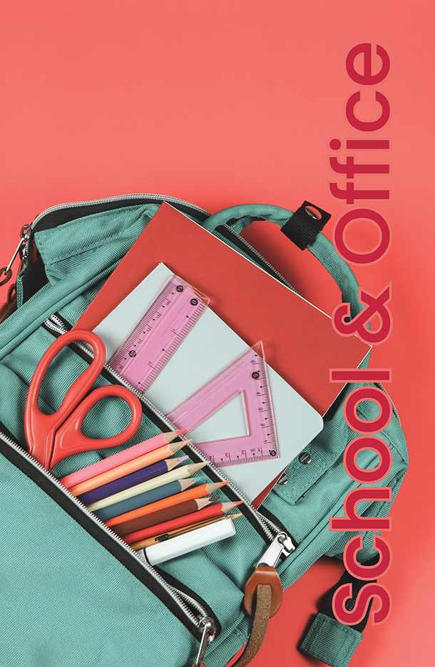 SAGE Catalog Studio Custom Page