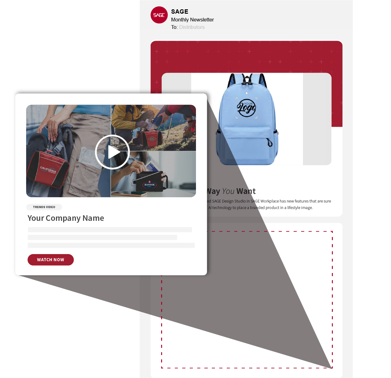 SAGE Distributor Newsletter