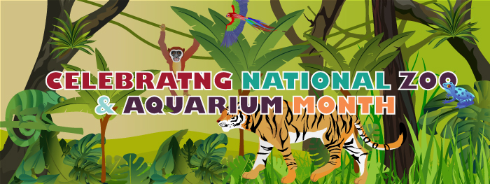 aquarium, zoo, banner