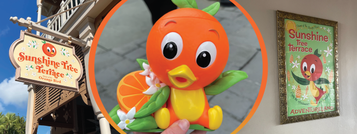 orange bird banner